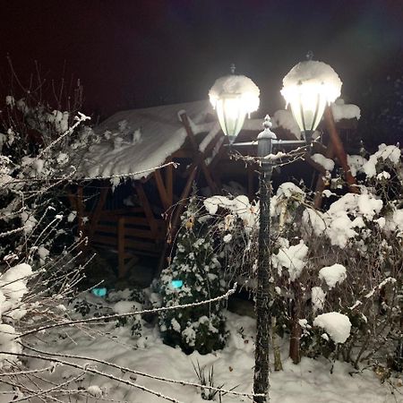 Міні Готель Вілла Вікторія Berehove  Extérieur photo