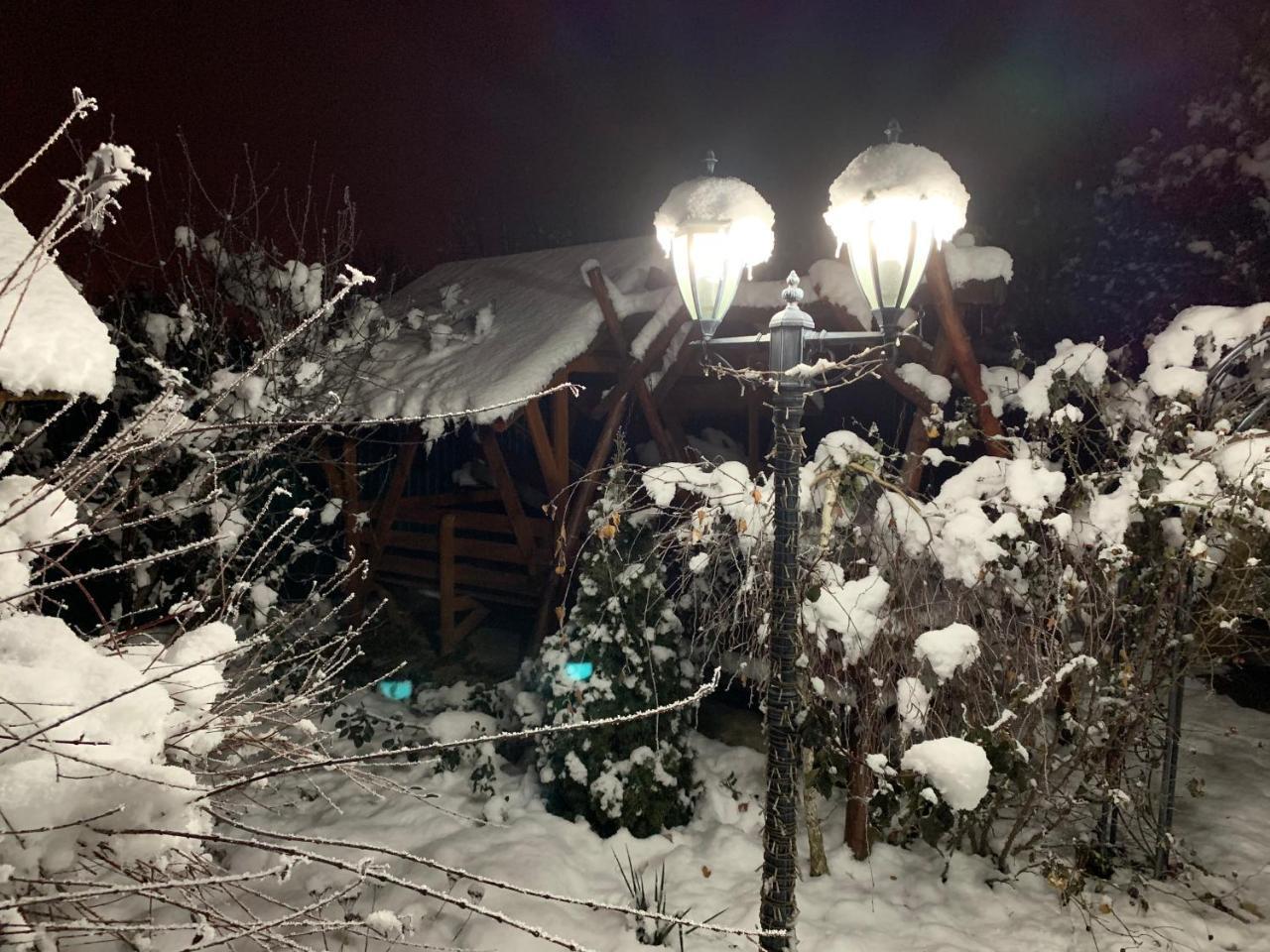 Міні Готель Вілла Вікторія Berehove  Extérieur photo