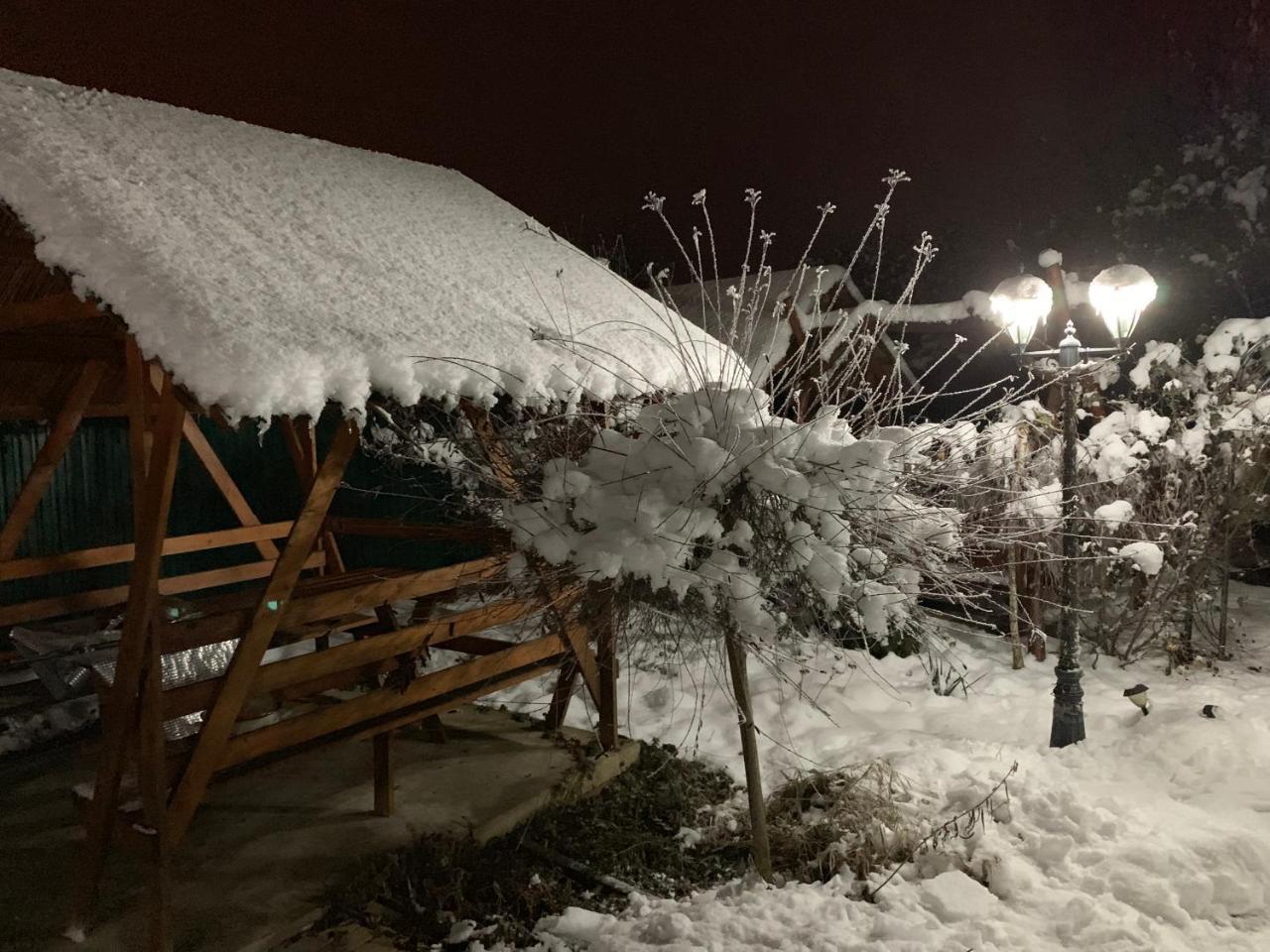 Міні Готель Вілла Вікторія Berehove  Extérieur photo