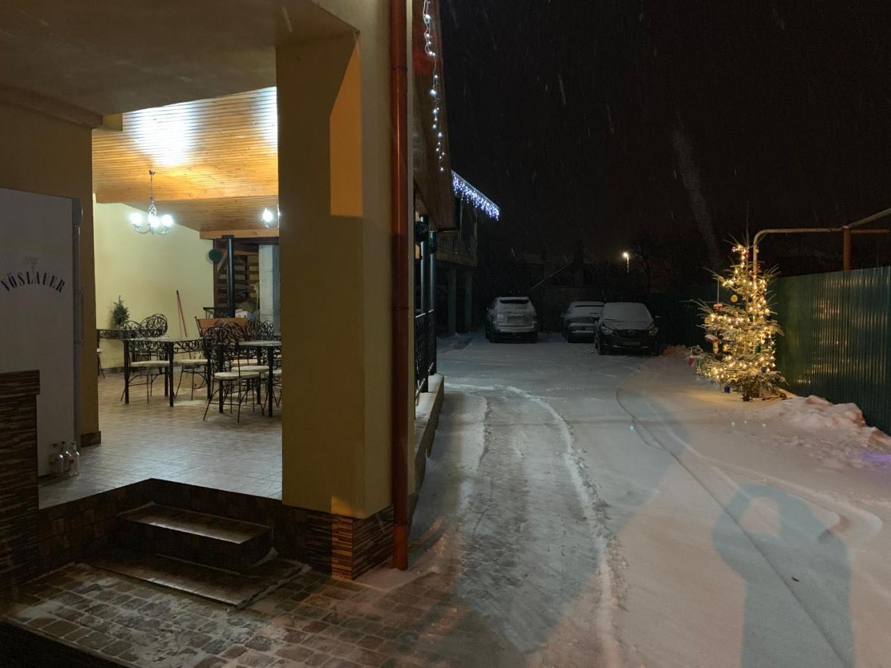 Міні Готель Вілла Вікторія Berehove  Extérieur photo